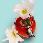 babette opossum granatkette